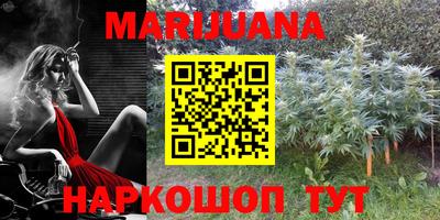 круглые Бийск