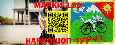 крисы Беслан