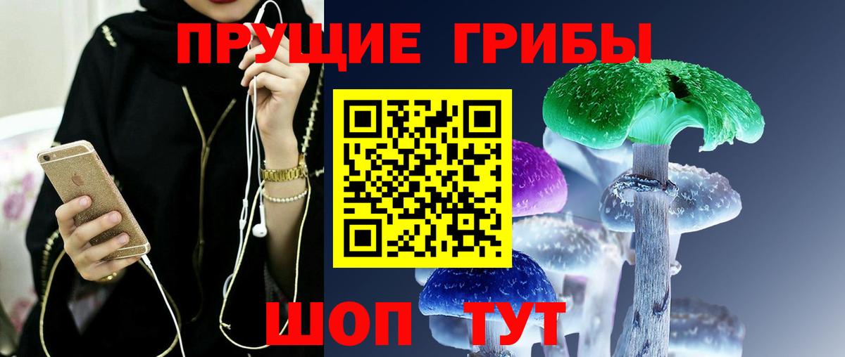 Избербаш  Псилоцибиновые грибы Psilocybe  Вход с VPN 