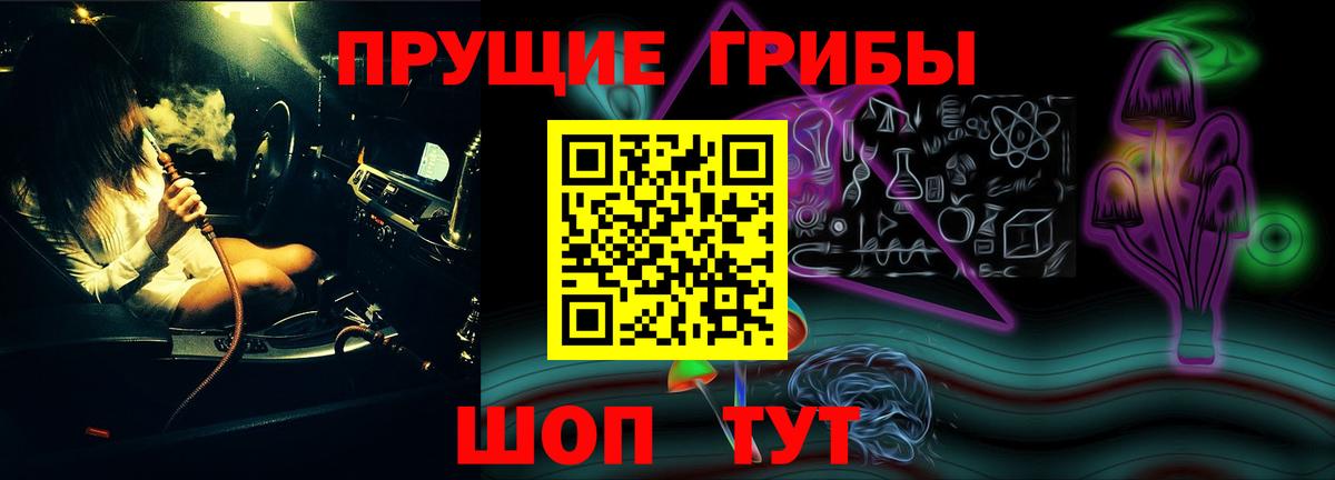 Псилоцибиновые грибы Psilocybe Избербаш